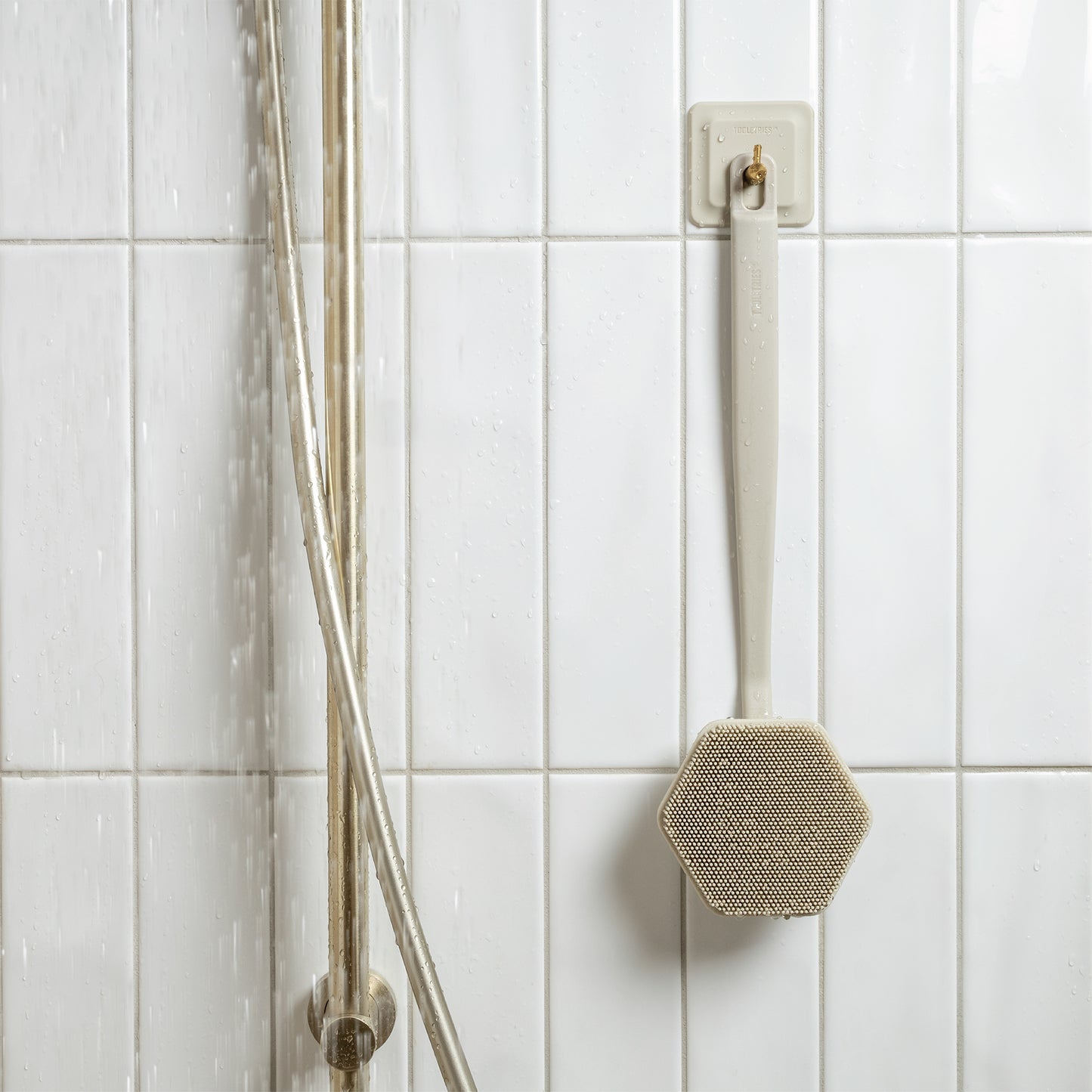Back Scrubber & Hook Sand